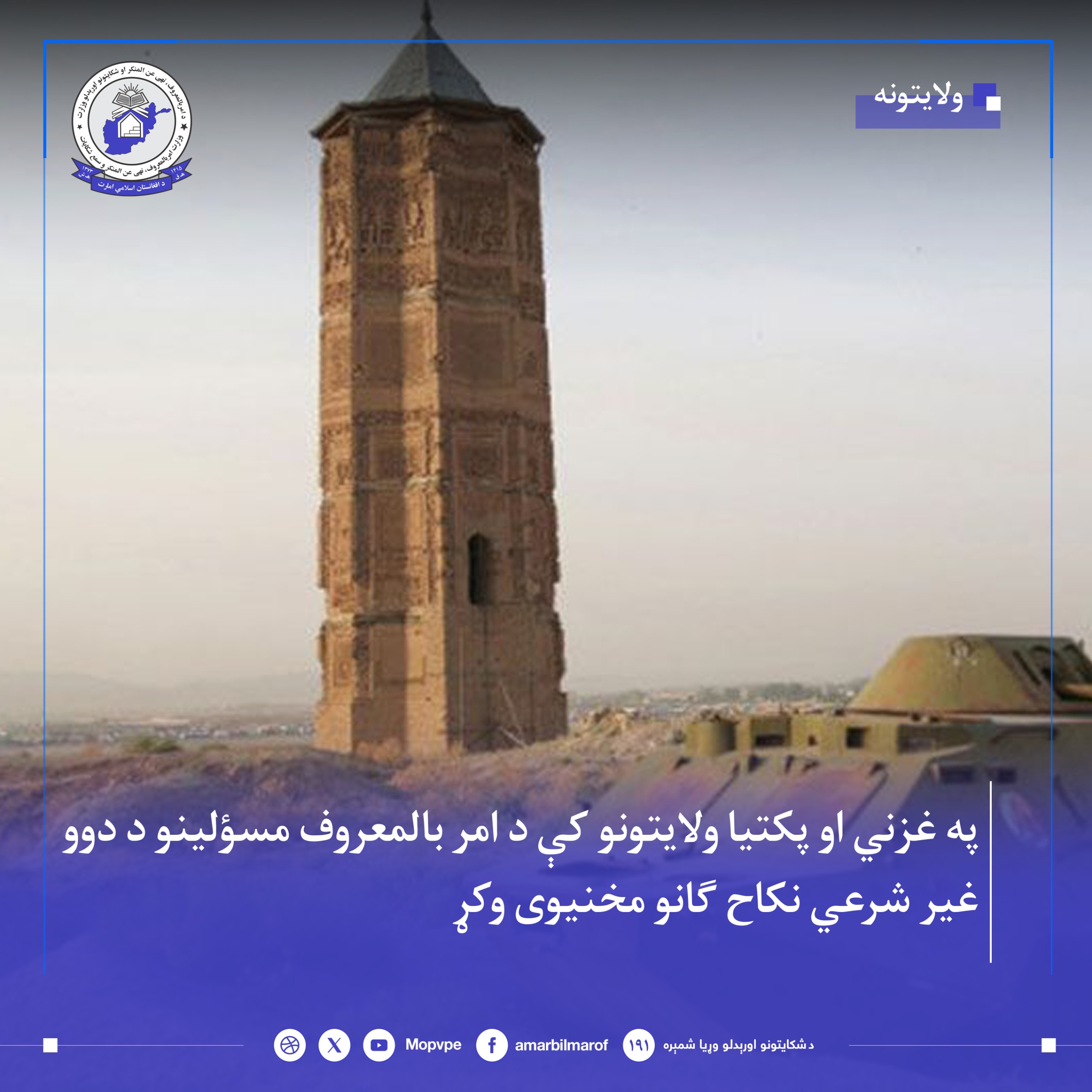 d_pktya_w_ghzny_dw_nkah_mkhnwy_wshw.jpg