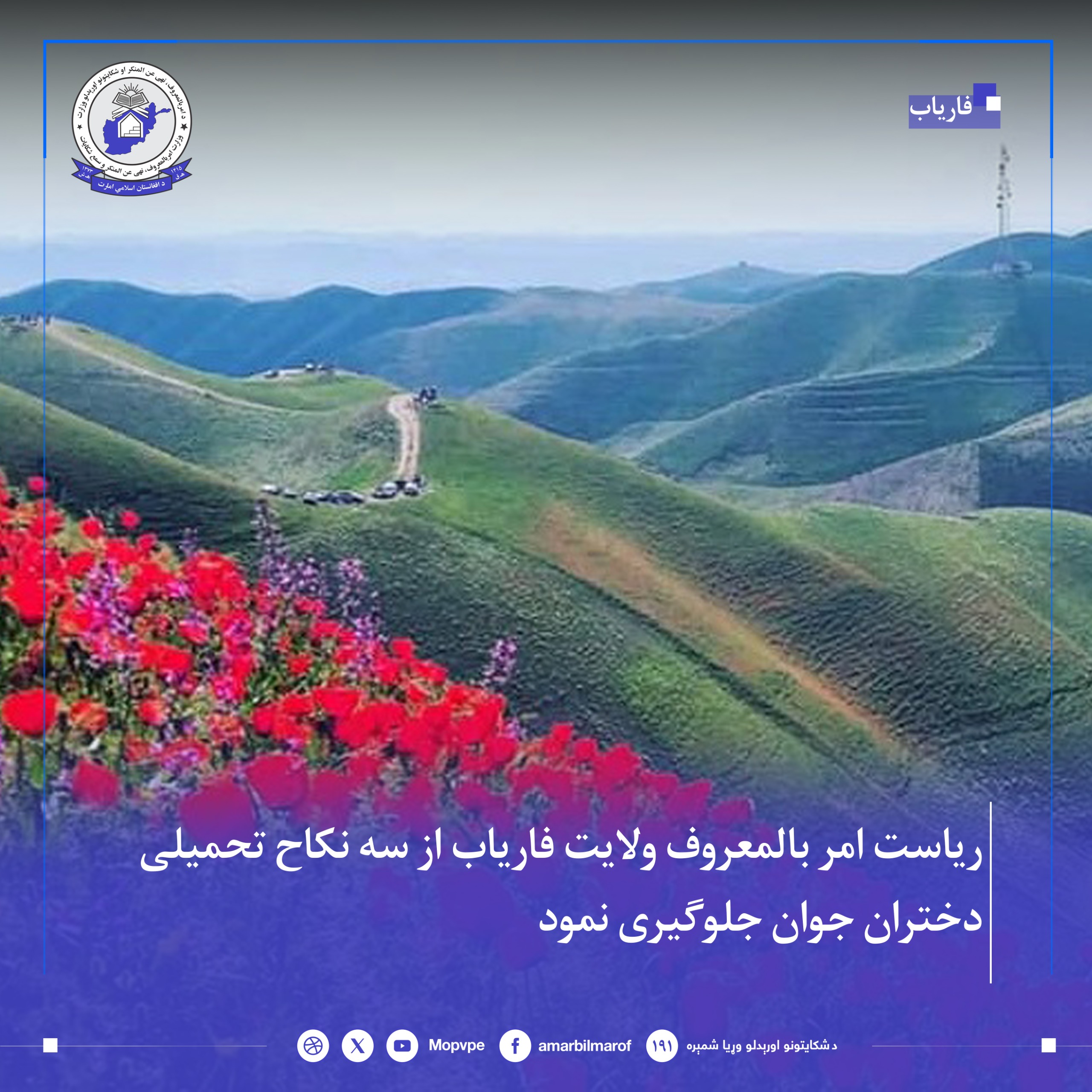 This text will be used by screen readers, search engines, or when the image cannot be loaded.