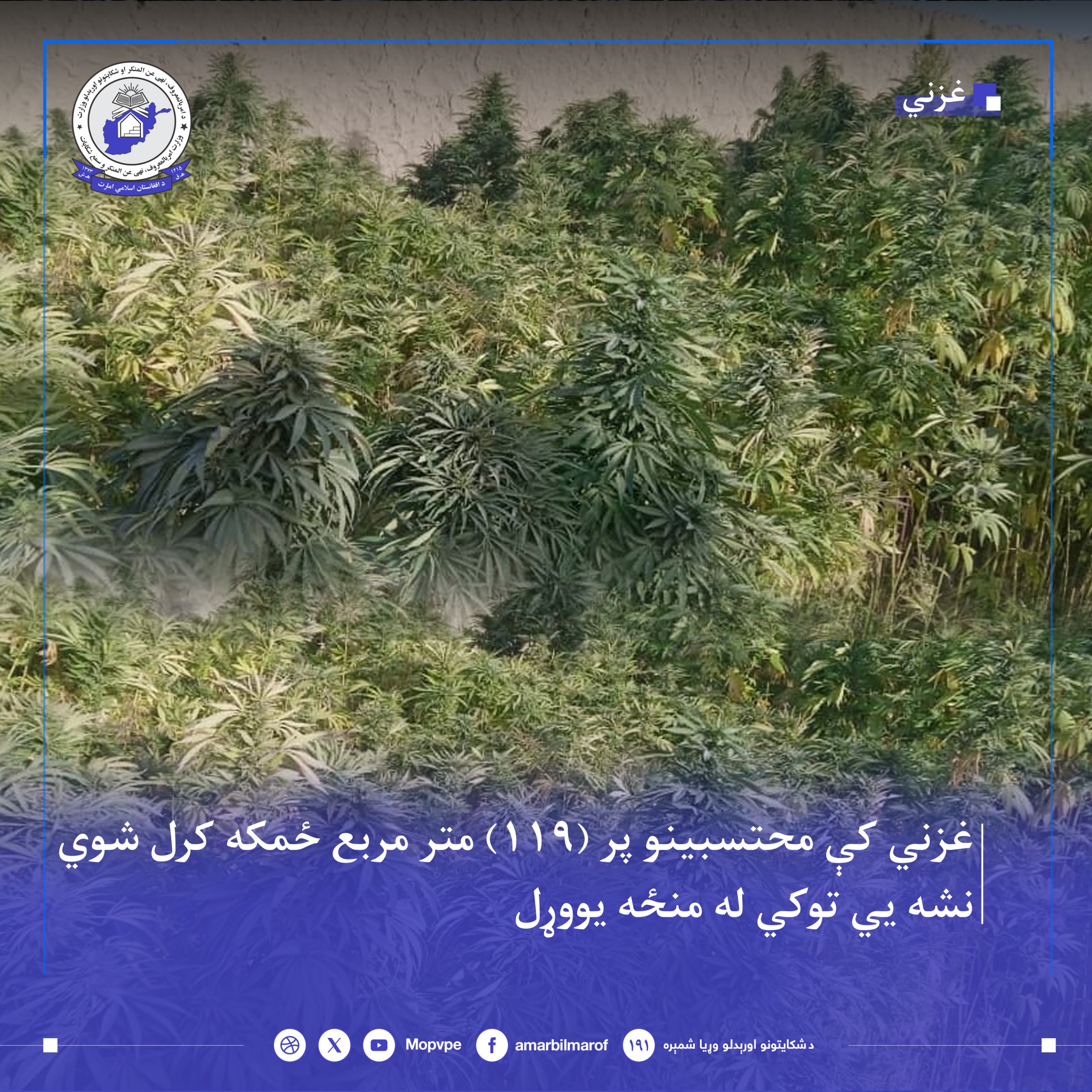 This text will be used by screen readers, search engines, or when the image cannot be loaded.