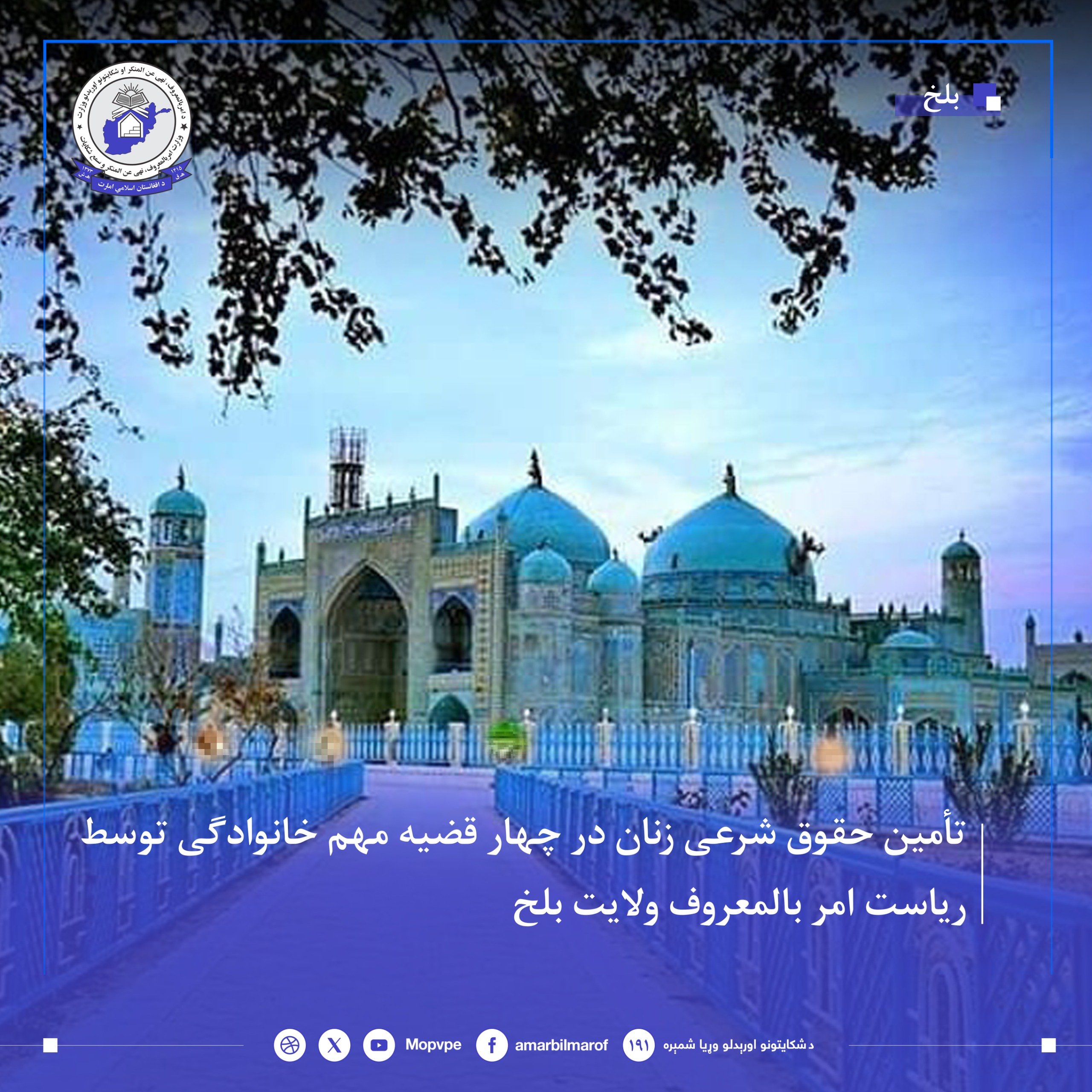 wq_shry_znan_.jpg	 Alternative text This text will 