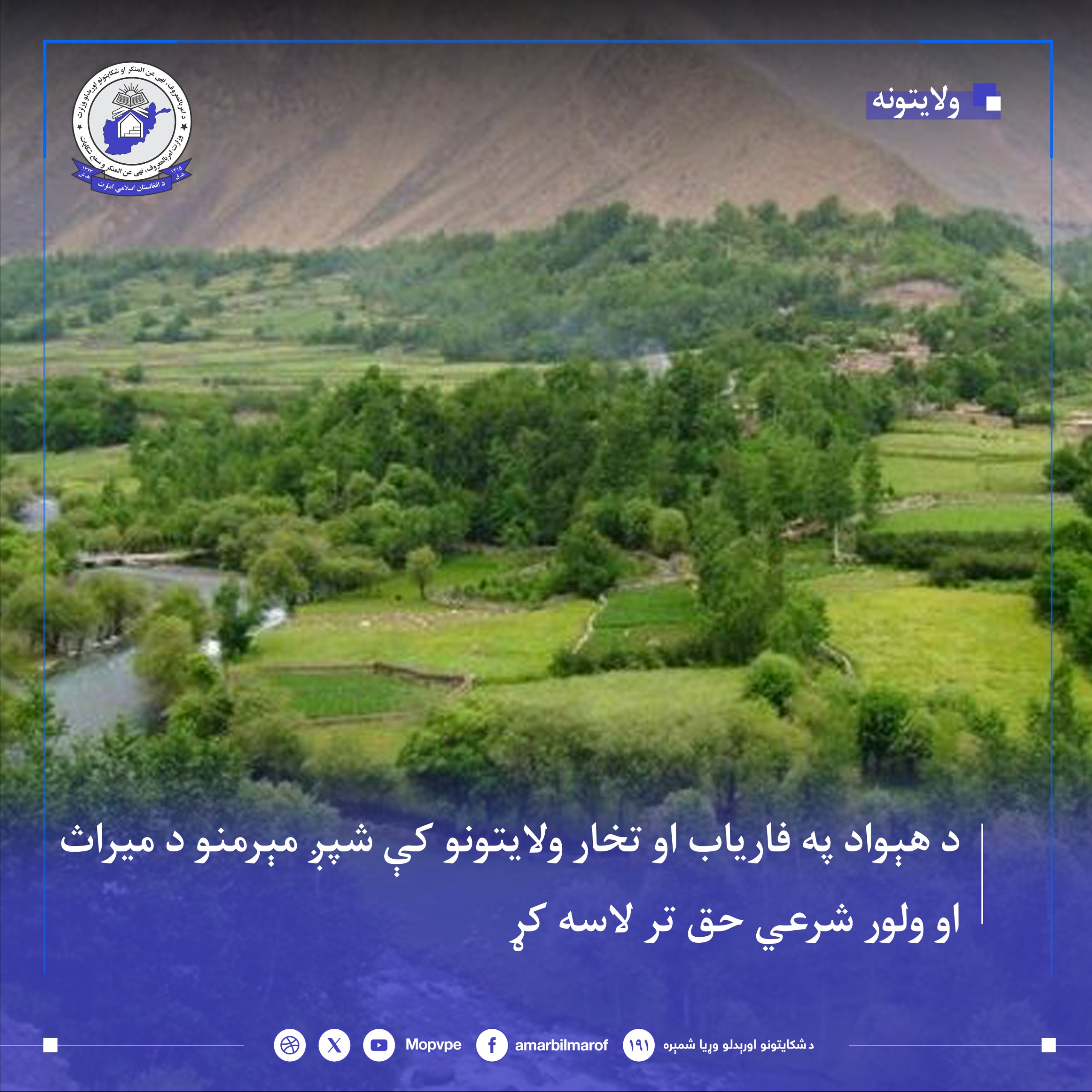 myrath_shsh_zn_dr_tkhar_w_faryab_dadh_shd.jpg