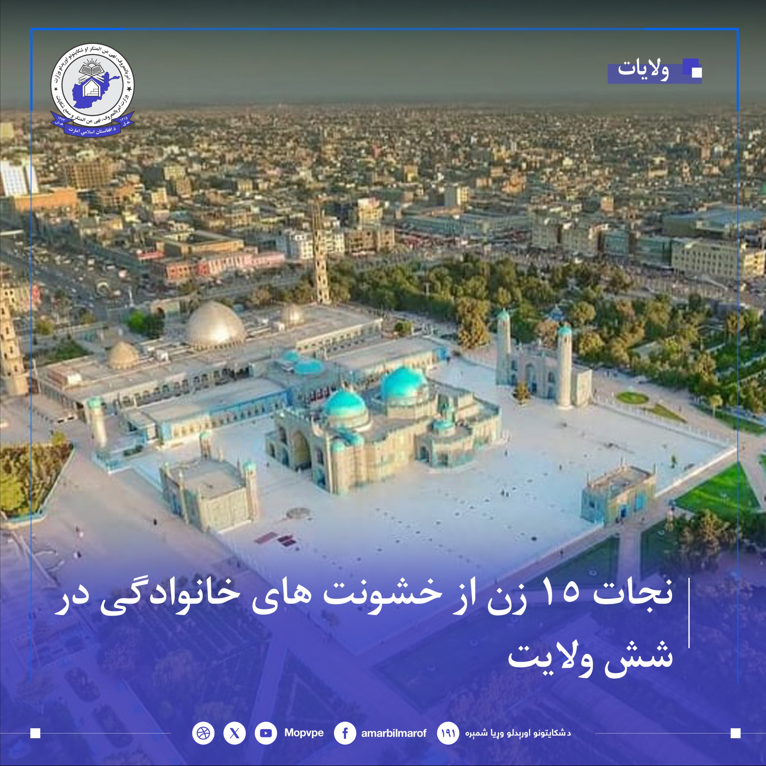 njat_15_zn_dr_shsh_wlayt.jpg