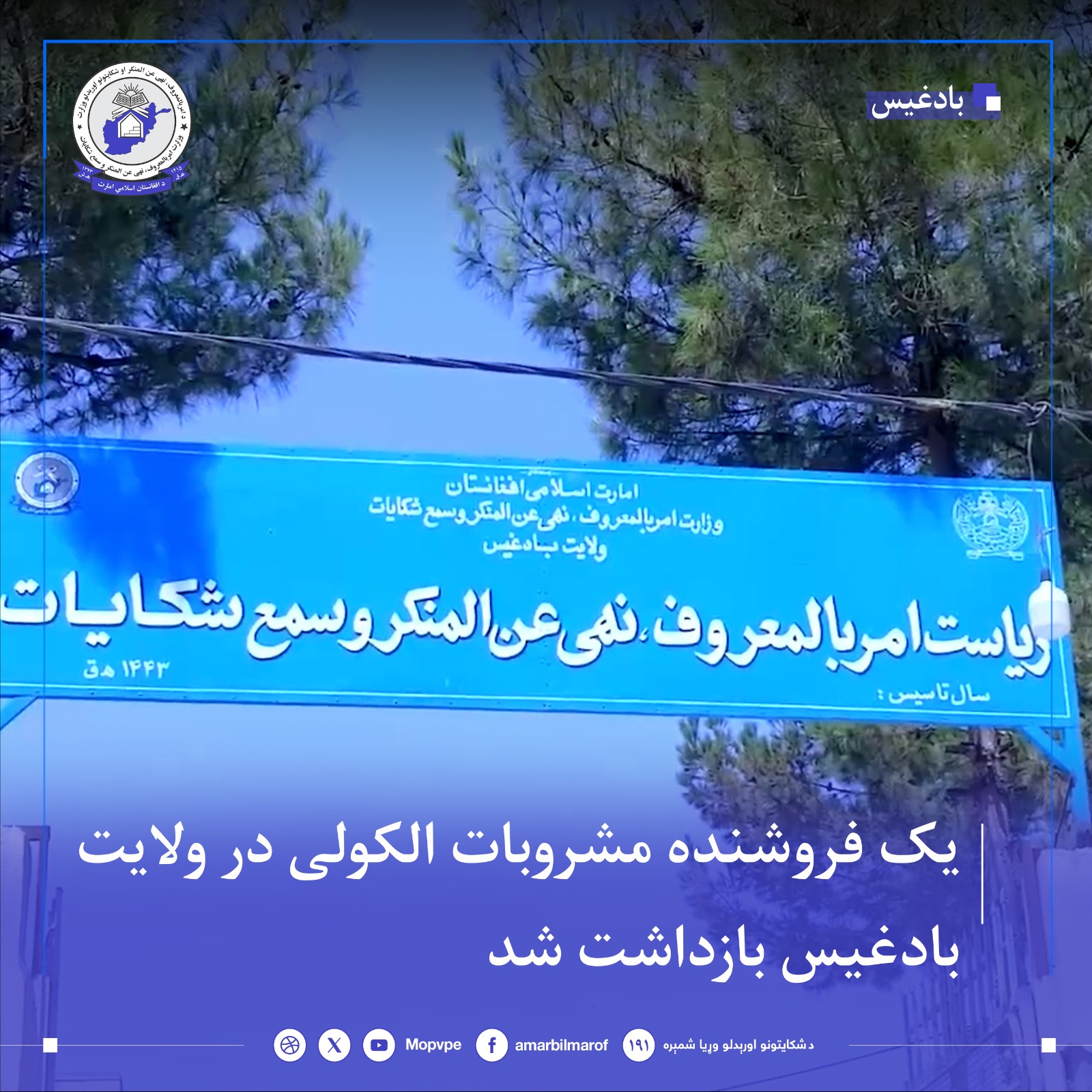 yk_frwshndh_mshwrbat_alkwly_dr_wlayt_badghys_bazdasht_shd.jpg