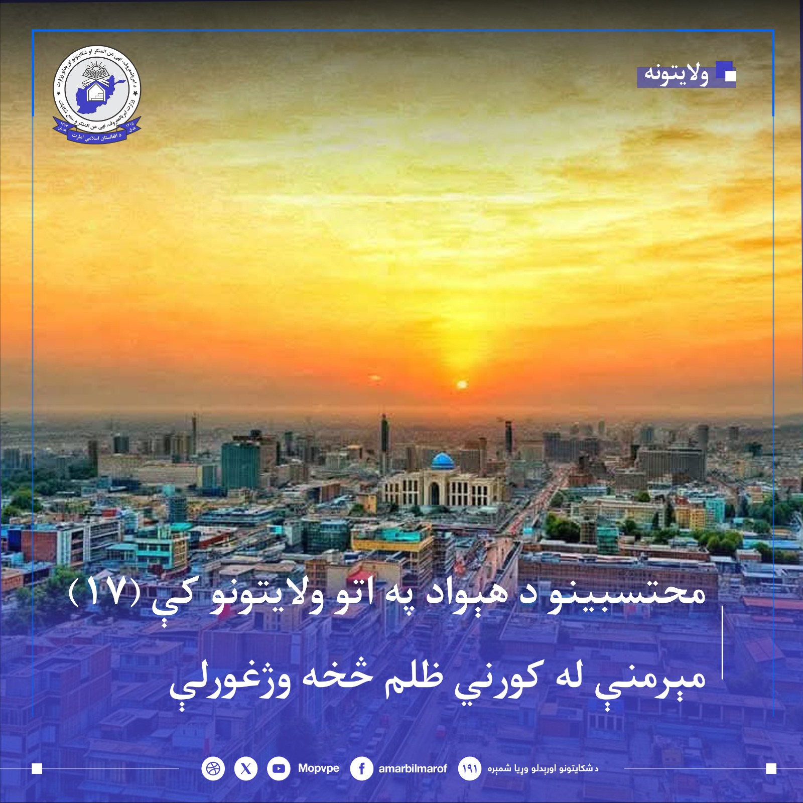 njat_17_zn_dr_8_wlayt.jpg
